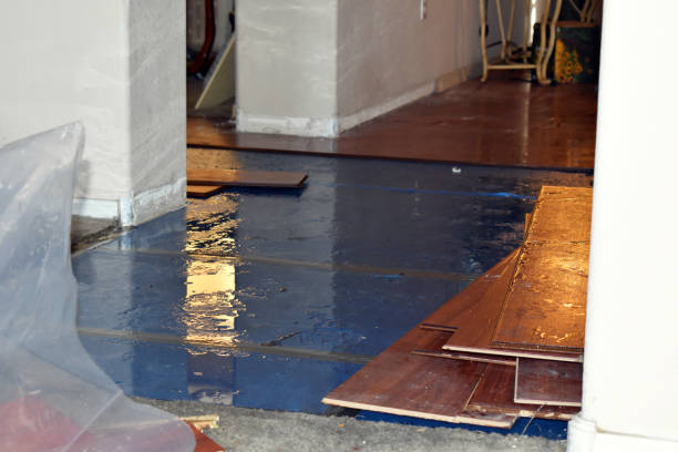 Professional Basement Flood Cleanup technician working in Payson, UT
